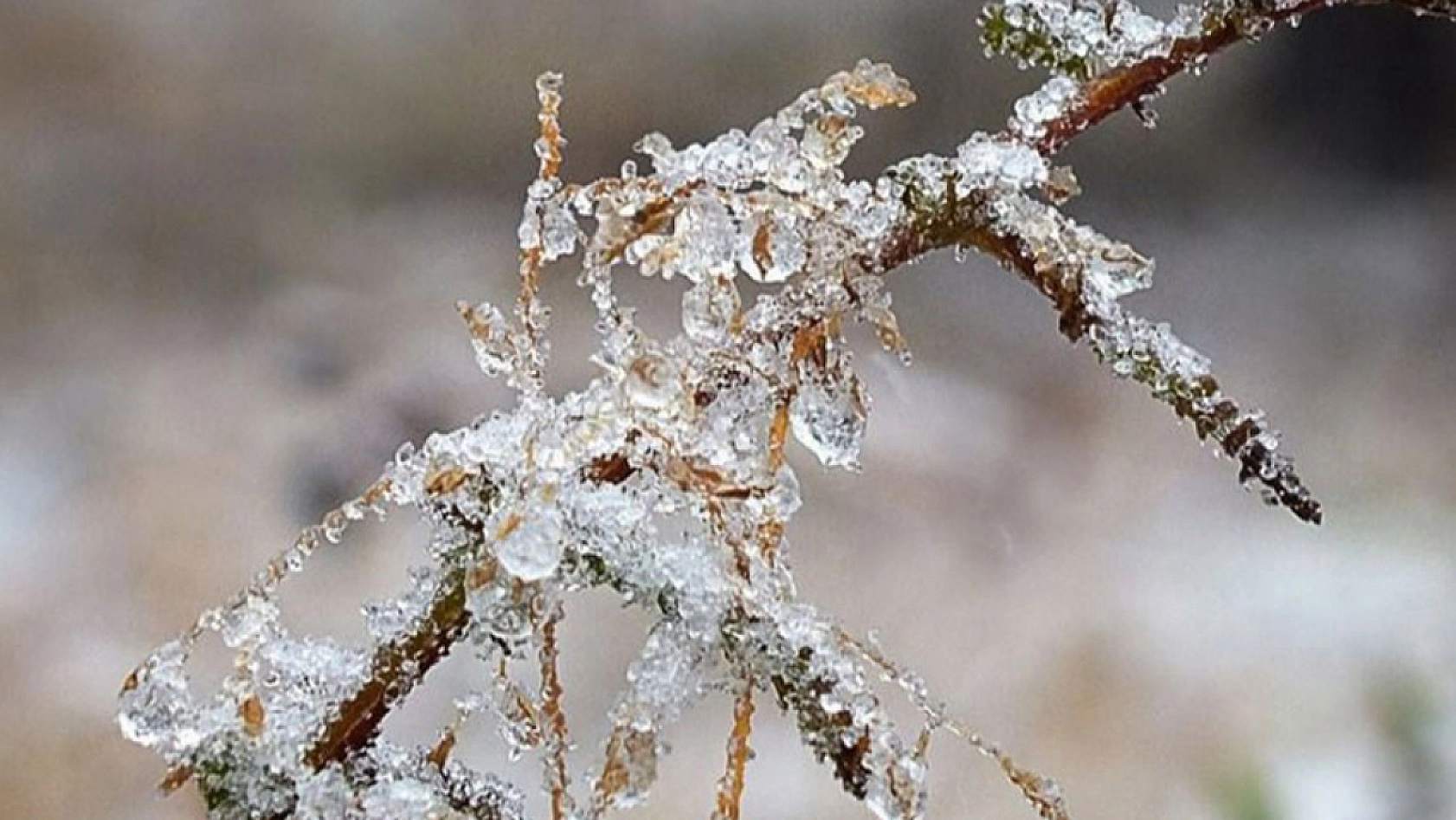 Meteoroloji'den Zirai Don Uyarısı: Malatya, Elazığ, Adıyaman Etkilenecek!