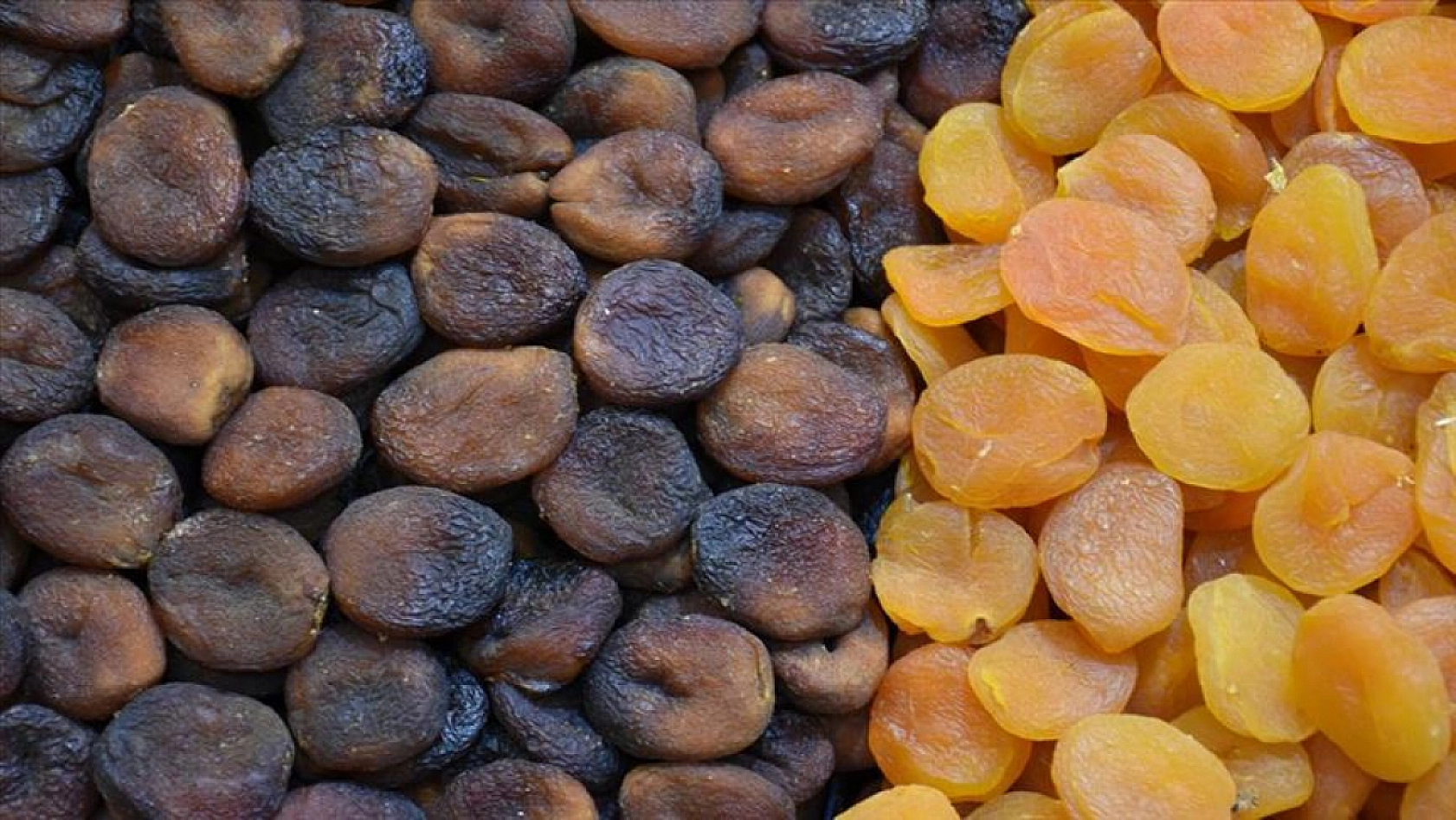 Kuru Kayısı Fiyatı Şaşırttı: Bu Defa Marketler Değil Üretici Kazandı!