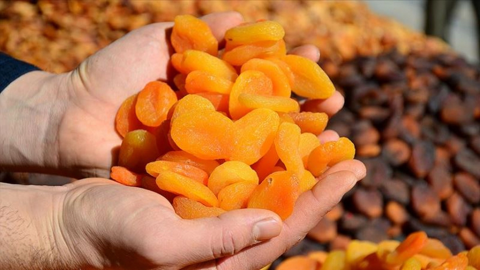 Kuru Kayısının Marketteki Fiyatı Dudak Uçuklattı!