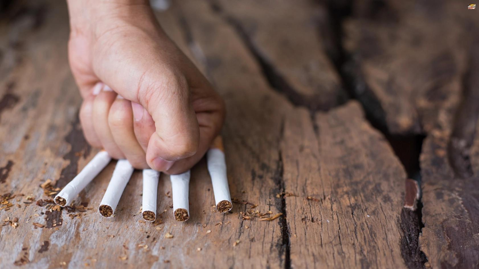 Malatya'da Tütün Kullanımı Alarm Veriyor! 'Hemen Başvurun'