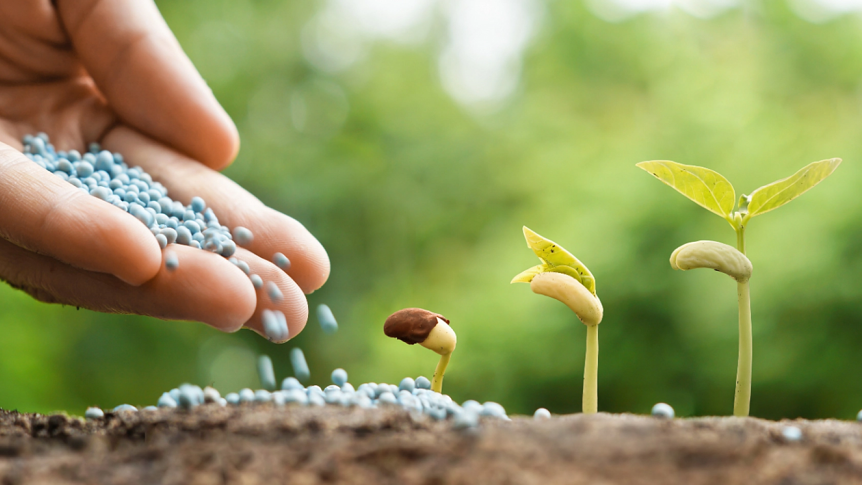 Malatyalı Üreticilere Müjde! Tarımsal Kredilerde Faiz İndirimi ve Yeni Destekler..!
