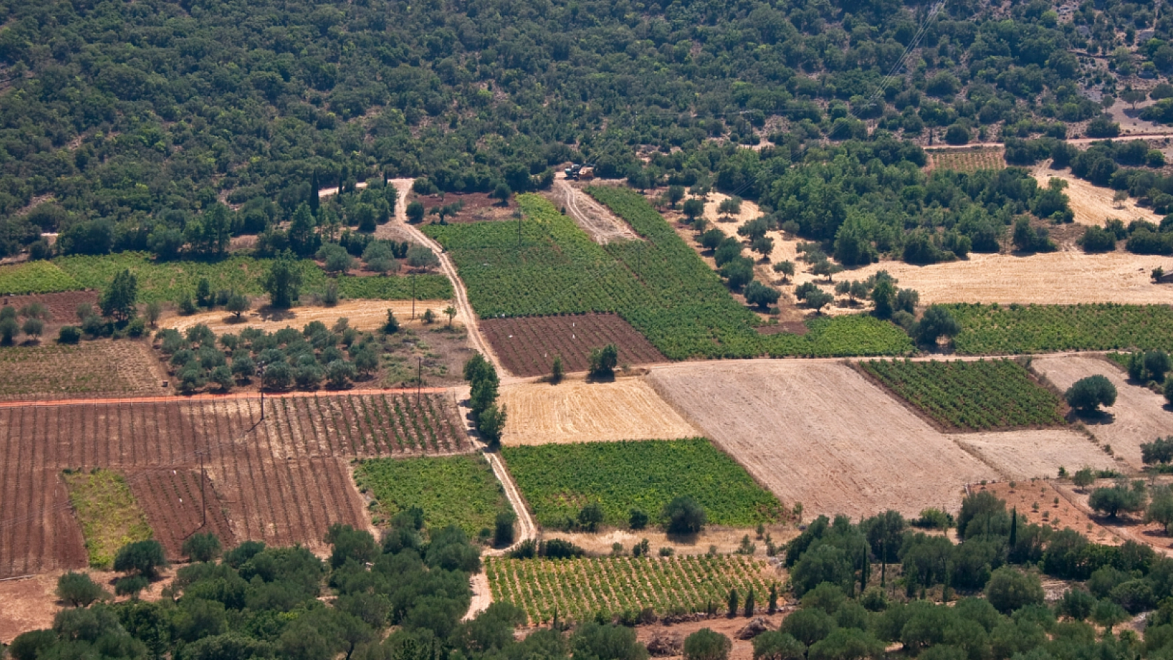 TOKİ Açık Artırmayla Malatya'da Arsa Satacak! İşte il il satışa çıkarılan arsalar...