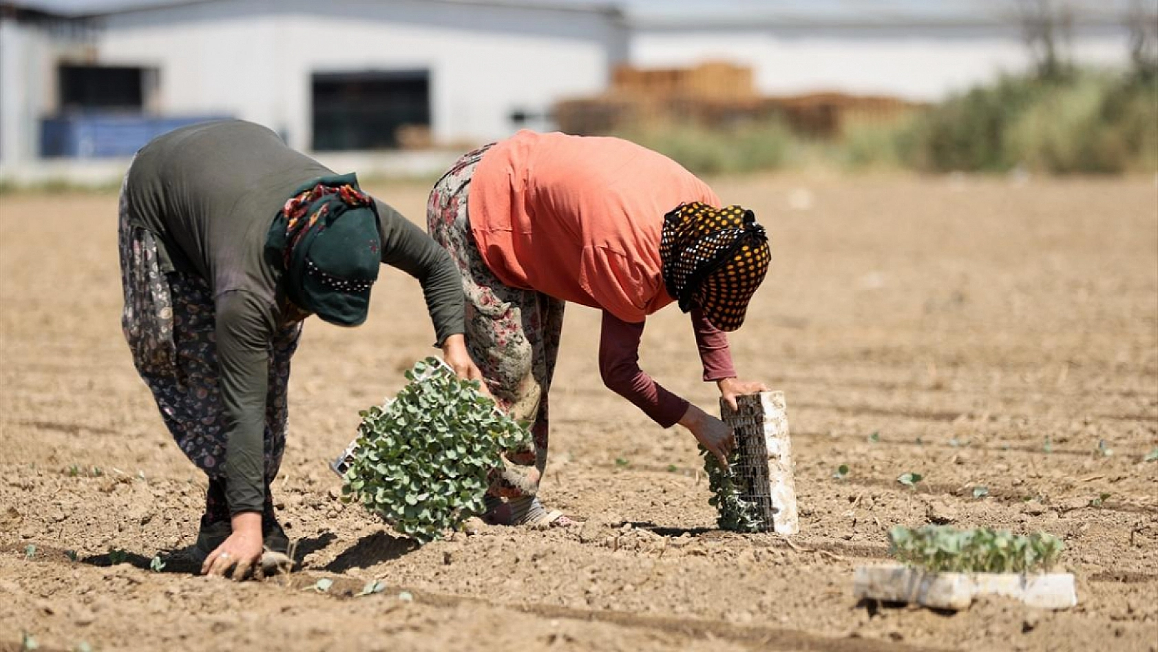 En Hızlı Büyüyen Meslekler Belli Oldu: Zirvedeki Meslek Şaşırttı!