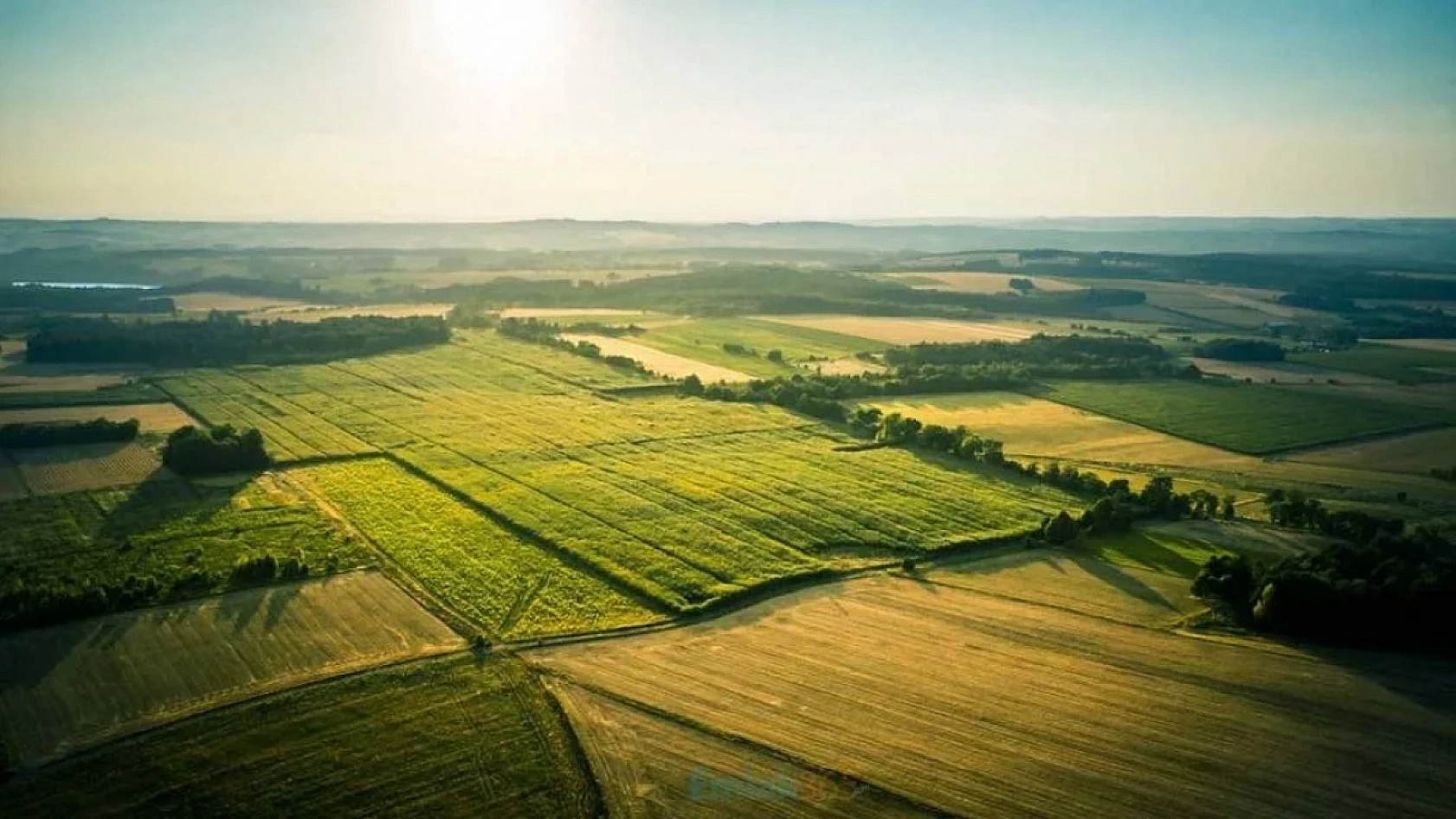 Malatya'da Milyonluk Arsa Satışa Çıkarıldı…!