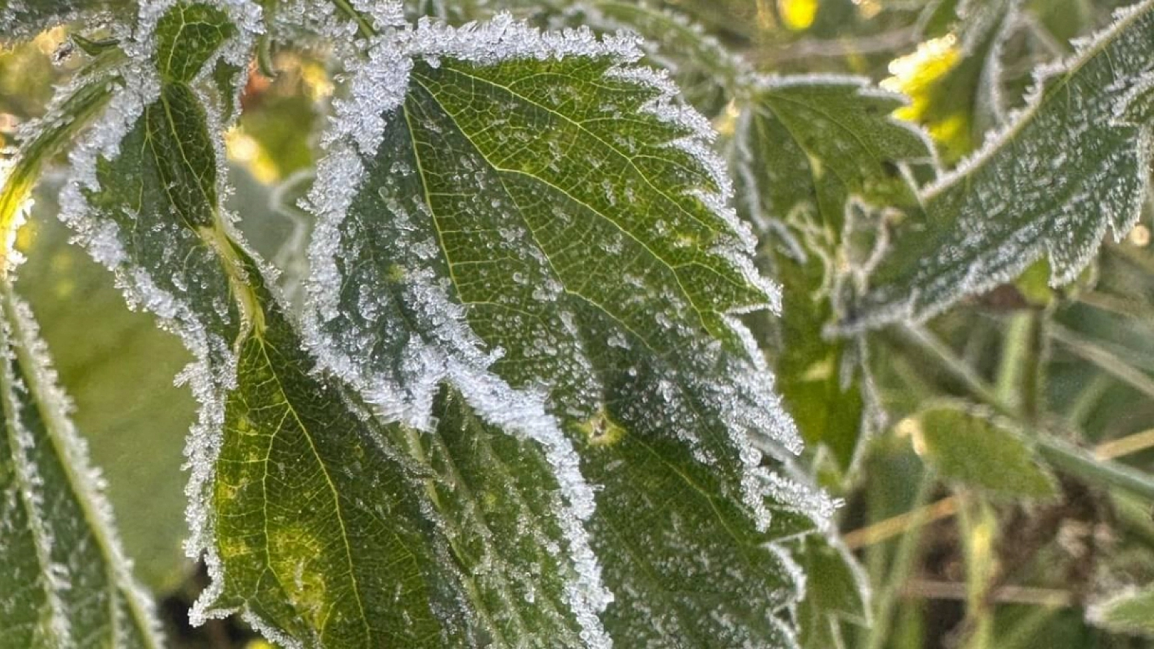 Malatya Buz Kesti: Gece En Soğuk Havayı O İlçe Yaşadı!