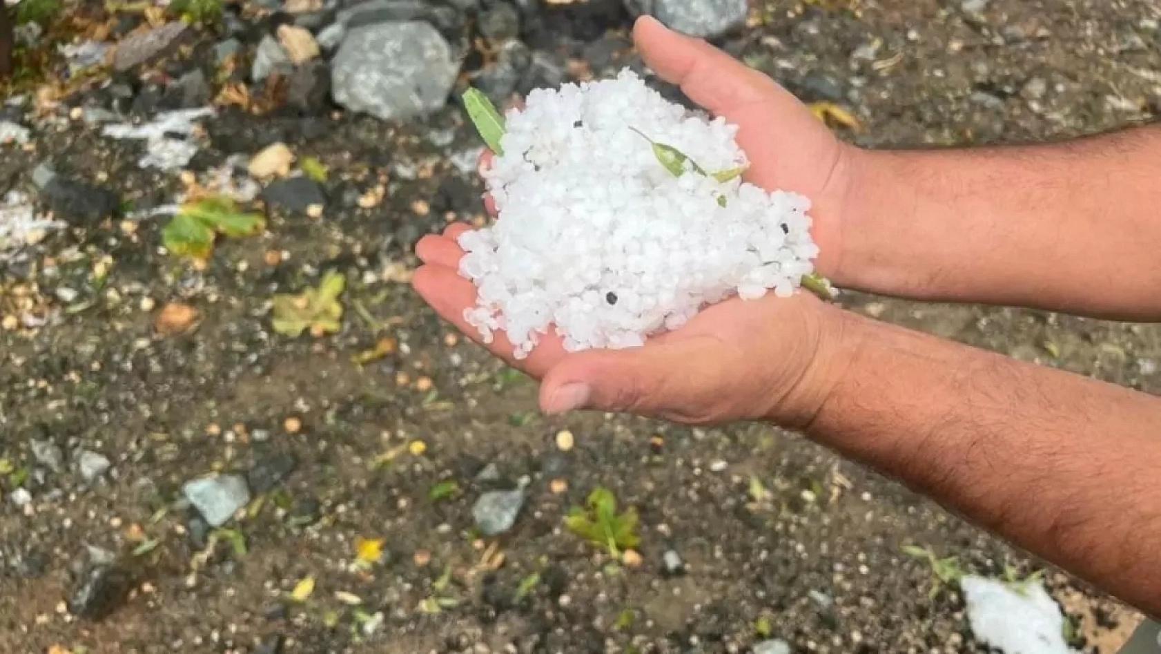 Kayısıyı dolu vurdu: Ekonomik yıkım kapıda