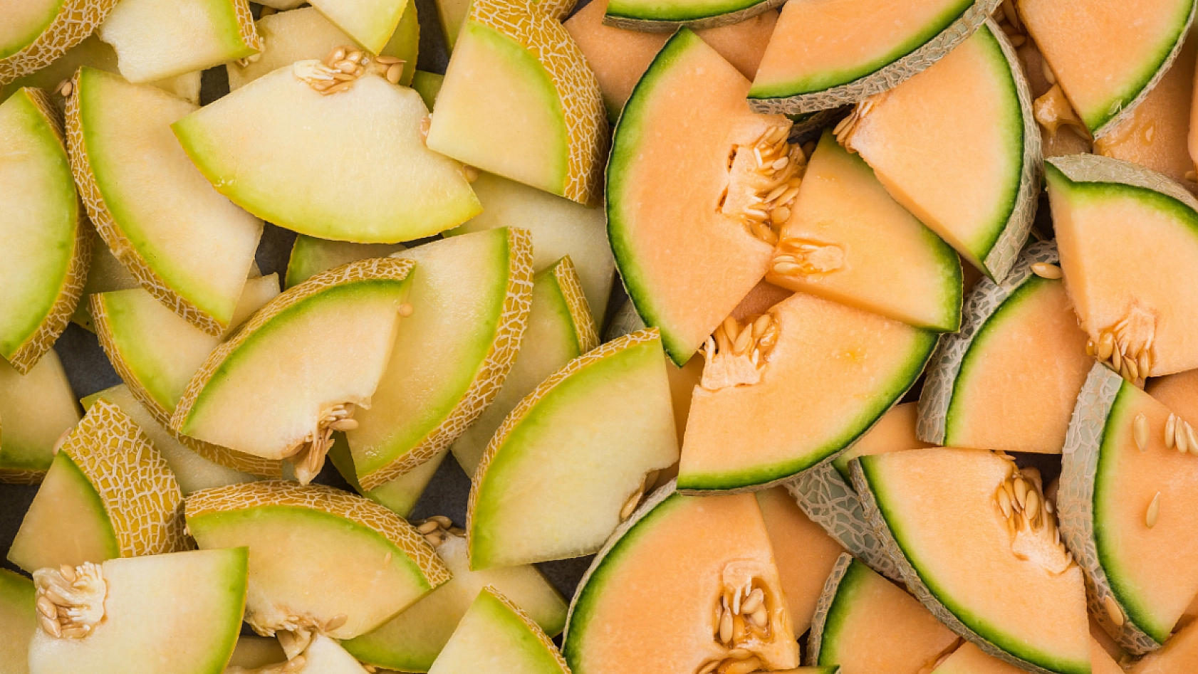 Malatya'nın Meşhur Aroması ve Tadıyla Dillere Destan Olan Kavunu..! Alıcı Bulamayınca Topraktan Kopamadı... 