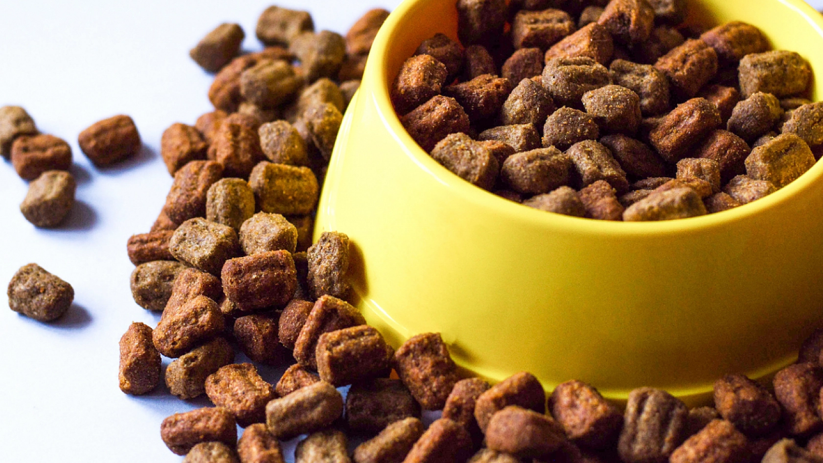 TÜİK Tüketici Raporunu Açıkladı: İşte Malatya'da Ekim'de Cebi En Çok Yakanlar!