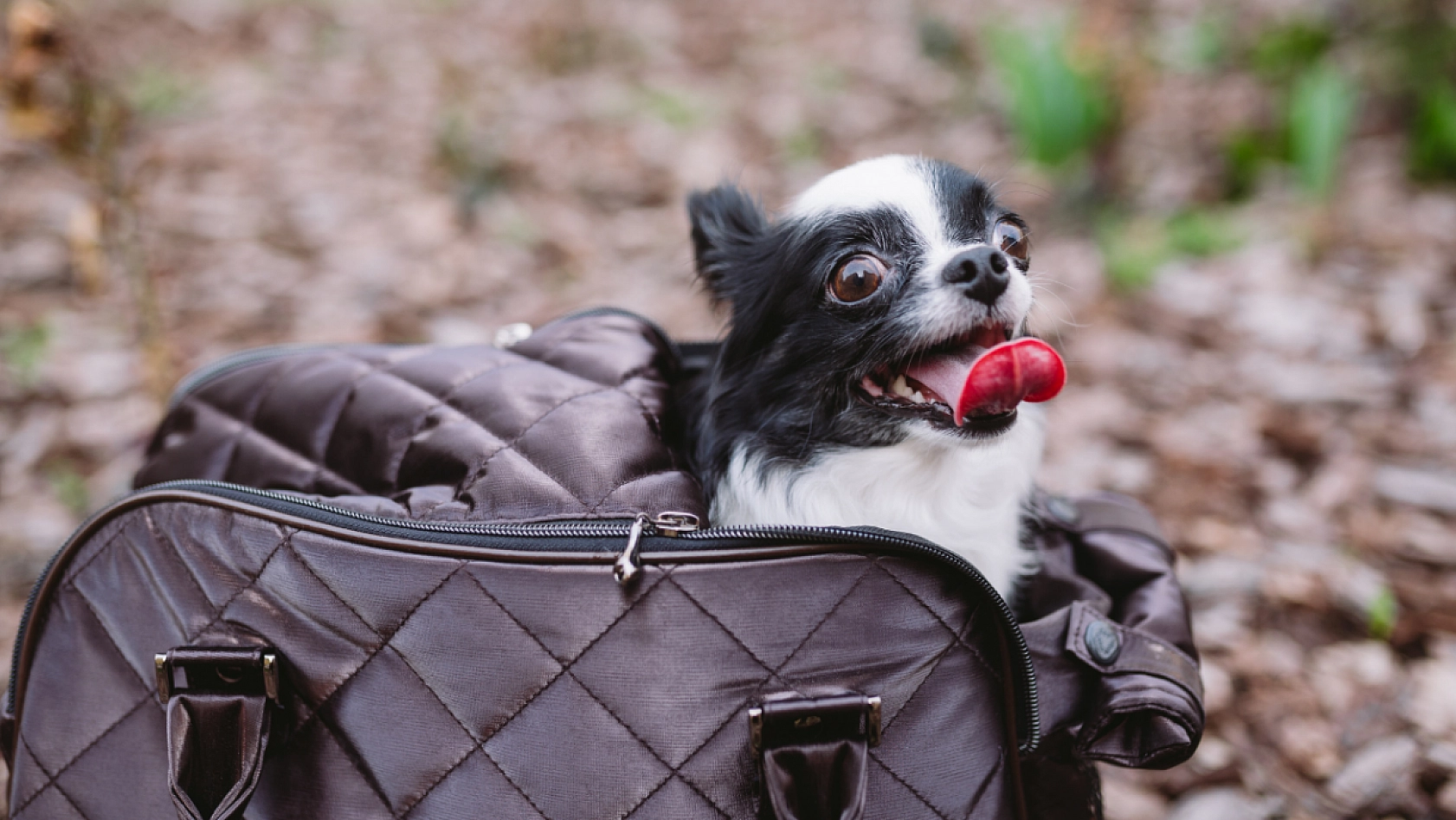 TÜİK Tüketici Raporunu Açıkladı: İşte Malatya'da Ekim'de Cebi En Çok Yakanlar!
