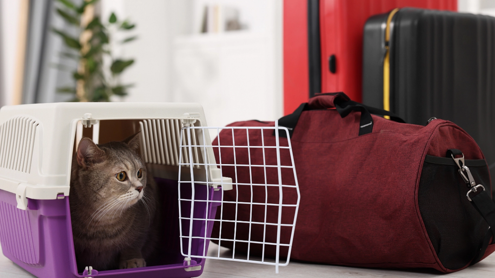 TÜİK Tüketici Raporunu Açıkladı: İşte Malatya'da Ekim'de Cebi En Çok Yakanlar!