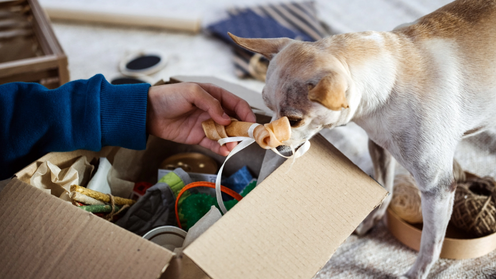 TÜİK Tüketici Raporunu Açıkladı: İşte Malatya'da Ekim'de Cebi En Çok Yakanlar!
