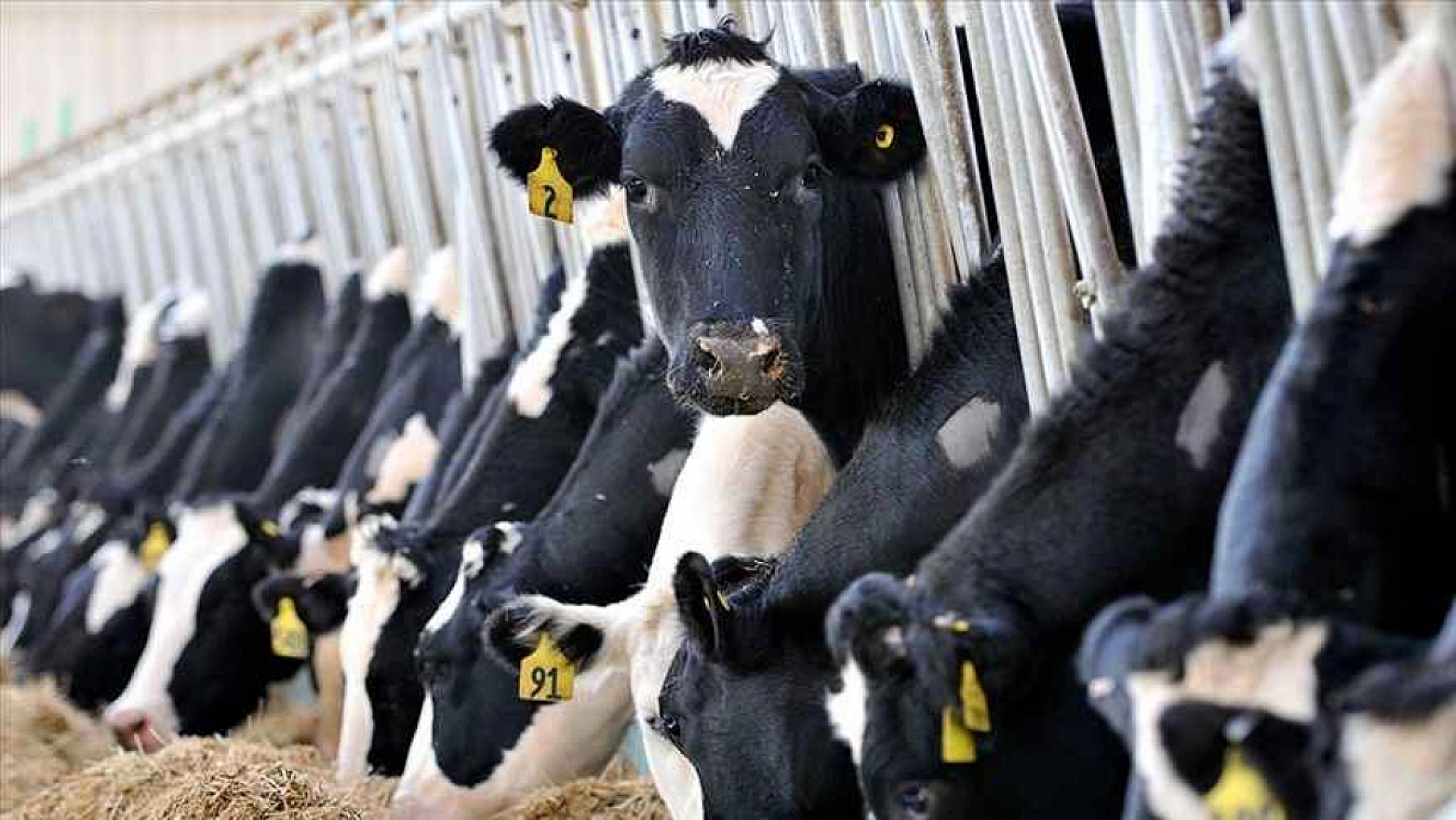 Malatya Valisi Destekleri Açıkladı! İşte Malatya'ya Deprem Sonrası Yapılan Destekler…