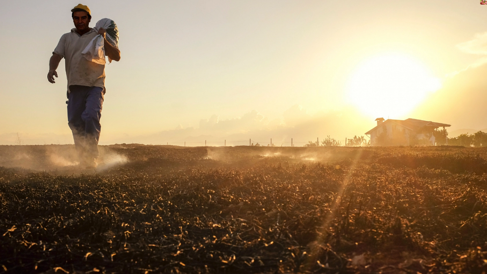 Malatya Çiftçisine Destek Yağmuru: 323,7 Milyon Lira Aktarılıyor