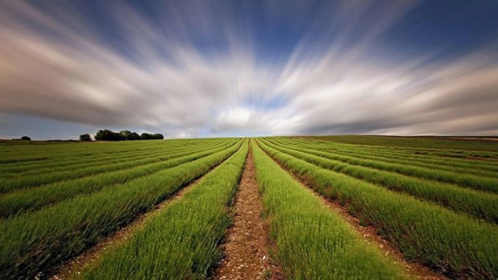 Malatya'da arsa satışı başlıyor! Yüzde 25 peşin, 24 ay vade seçeneği olacak