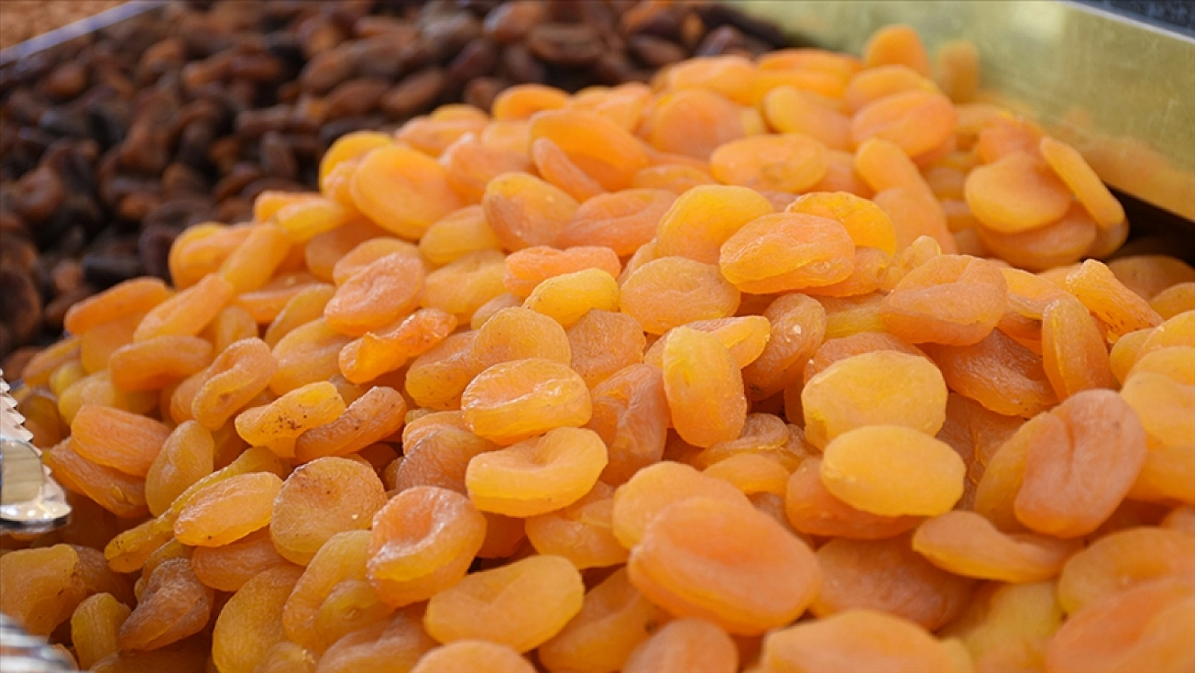 Fiyatlar Dibi Gördü: 50 Kilo Kayısı 1 Çeyrek Altın Ediyor!