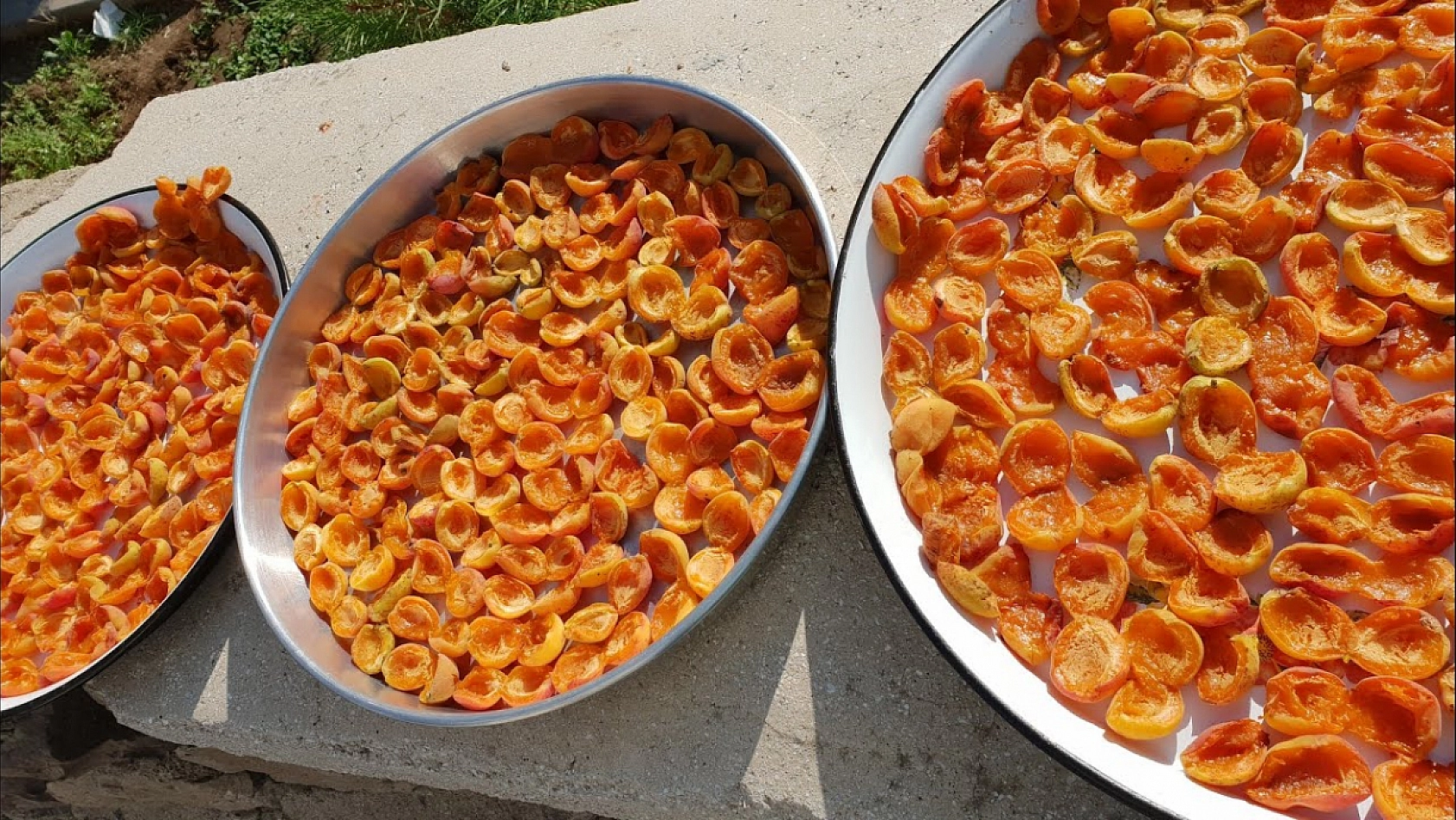 Kuru Kayısı Fiyatı Şaşırttı: Bu Defa Marketler Değil Üretici Kazandı!