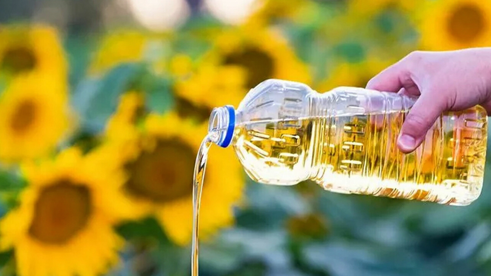 80 Günde 3 Zam: Ayçiçek Yağı Fiyatları Patladı
