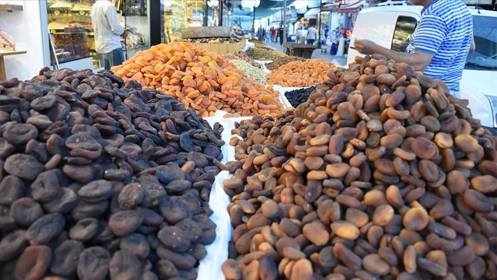 İklim Değişikliği Kayısıyı Olumsuz Etkileyecek: Coğrafi İşaret Gidebilir!