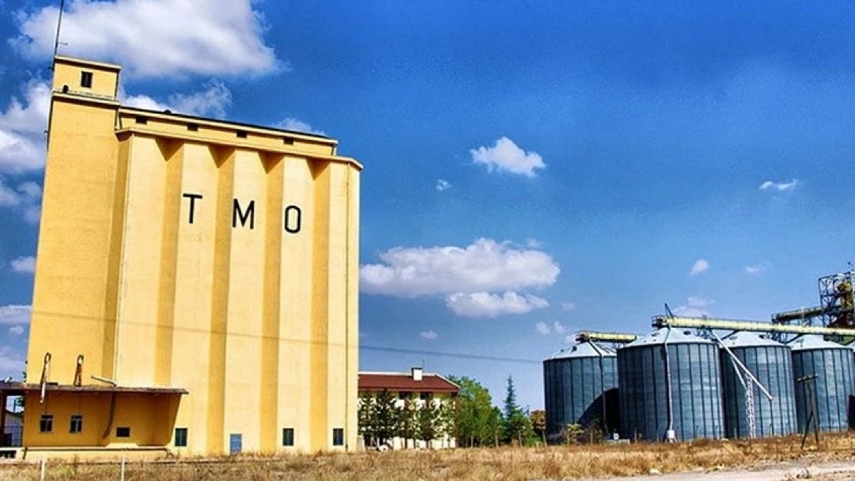 TMO'dan Alım Kararı! Malatya Kayısısı Giresun Fındığının Gölgesinde Kaldı!
