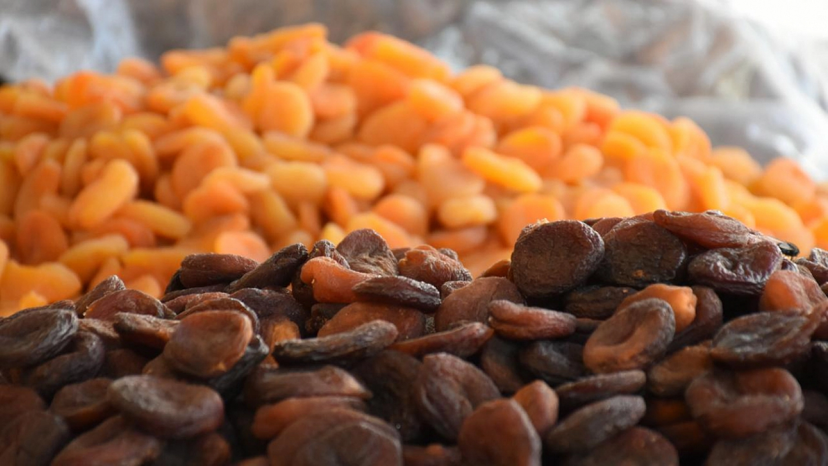 Ekim Ayında Malatya'nın Yüzü Güldü: Kasa Dolmaya Başladı!