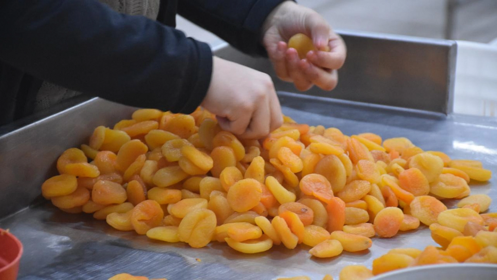 Kuru Kayısının Marketteki Fiyatı Dudak Uçuklattı!