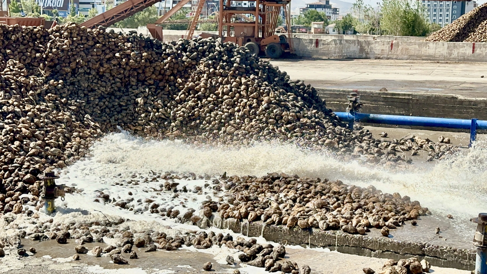 Kayısından yüzü gülmeyen üreticinin imdadına yetişti: Malatya için büyük nimet!