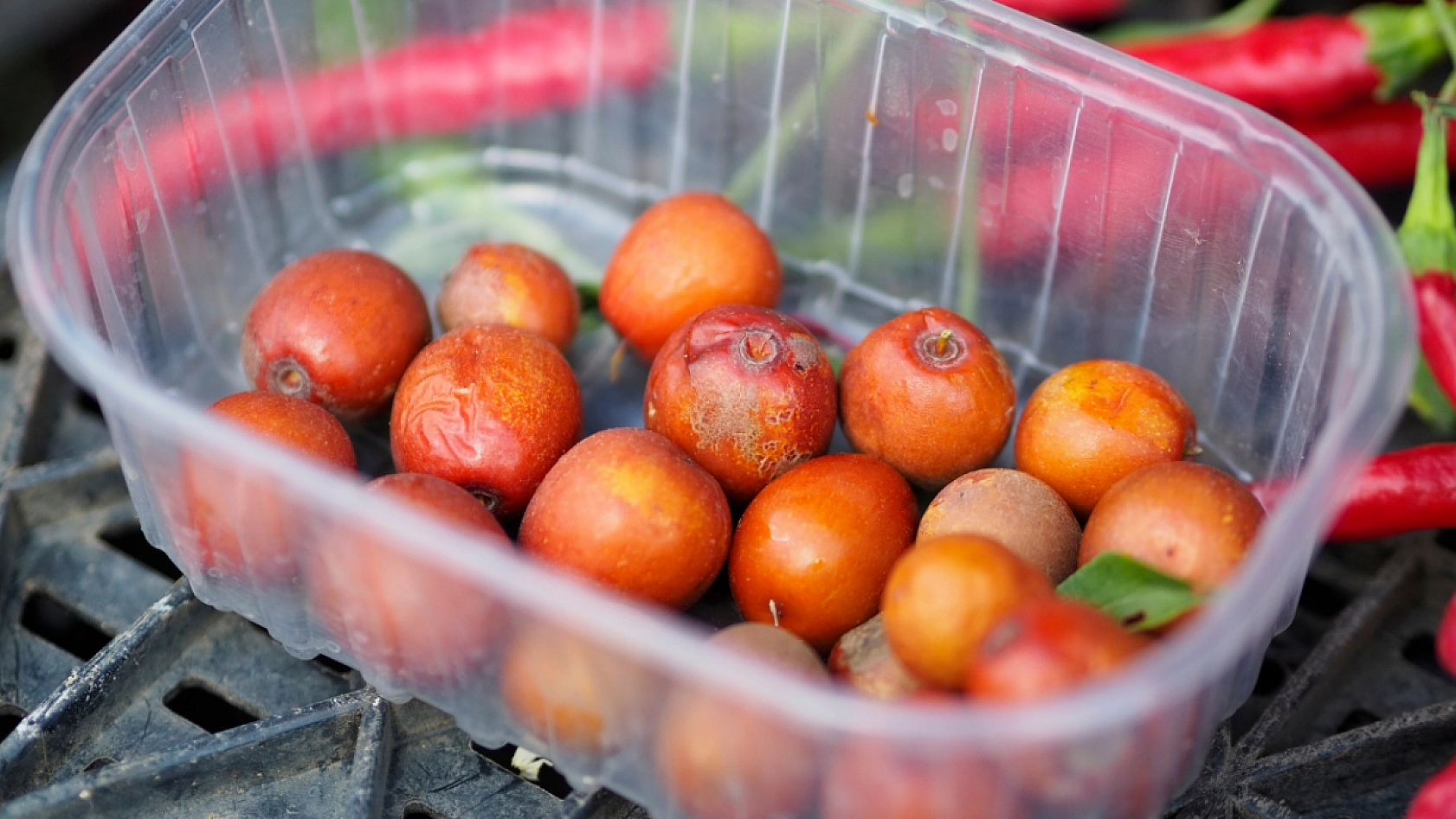 Hünnap: Malatya'da Yetişen 'Ölümsüzlük Meyvesi'!