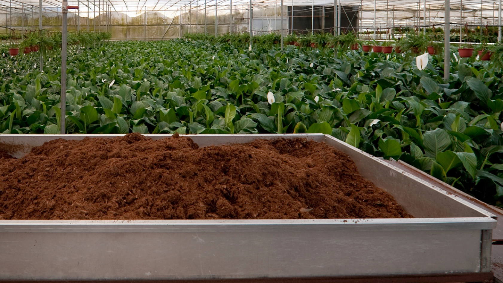 6 Şubat'ın Ardından Malatya'da Yeni Bir Başlangıç: 17 Ay Sonra Yeniden Kapılarını Açtı! 