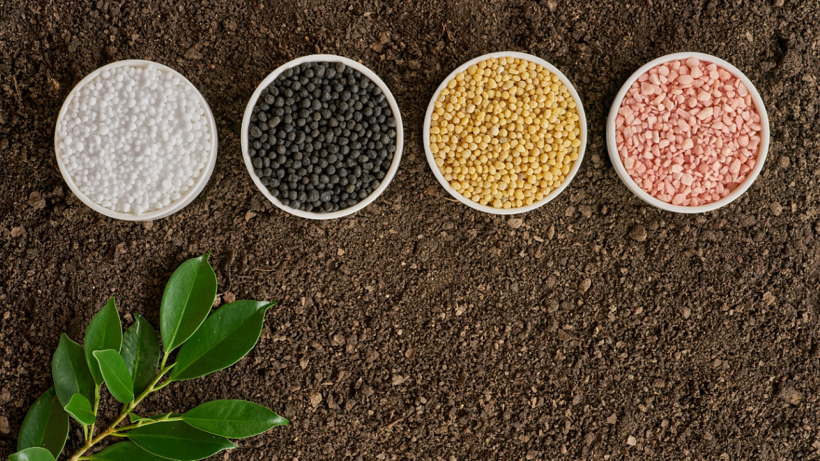 6 Şubat'ın Ardından Malatya'da Yeni Bir Başlangıç: 17 Ay Sonra Yeniden Kapılarını Açtı! 