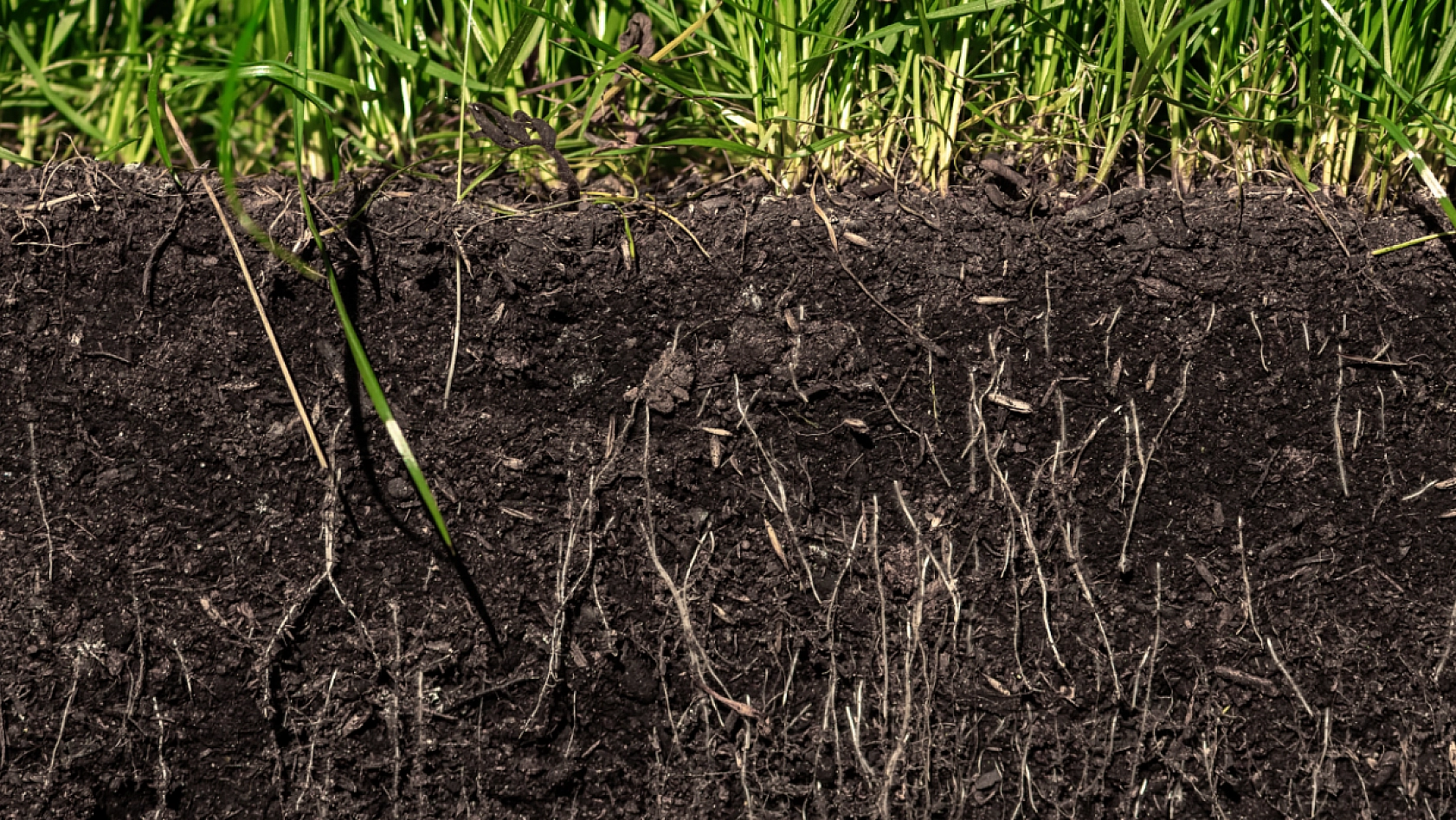 6 Şubat'ın Ardından Malatya'da Yeni Bir Başlangıç: 17 Ay Sonra Yeniden Kapılarını Açtı! 