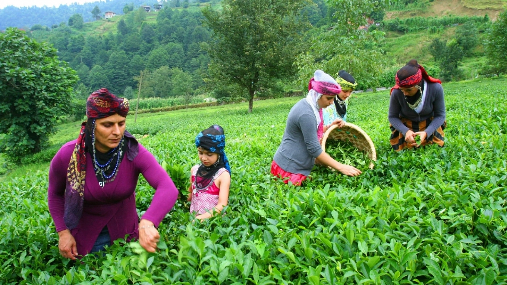 Malatya'da Tarımda Yeni Dönem! Yüzde 100 Mazot Desteği Geliyor!