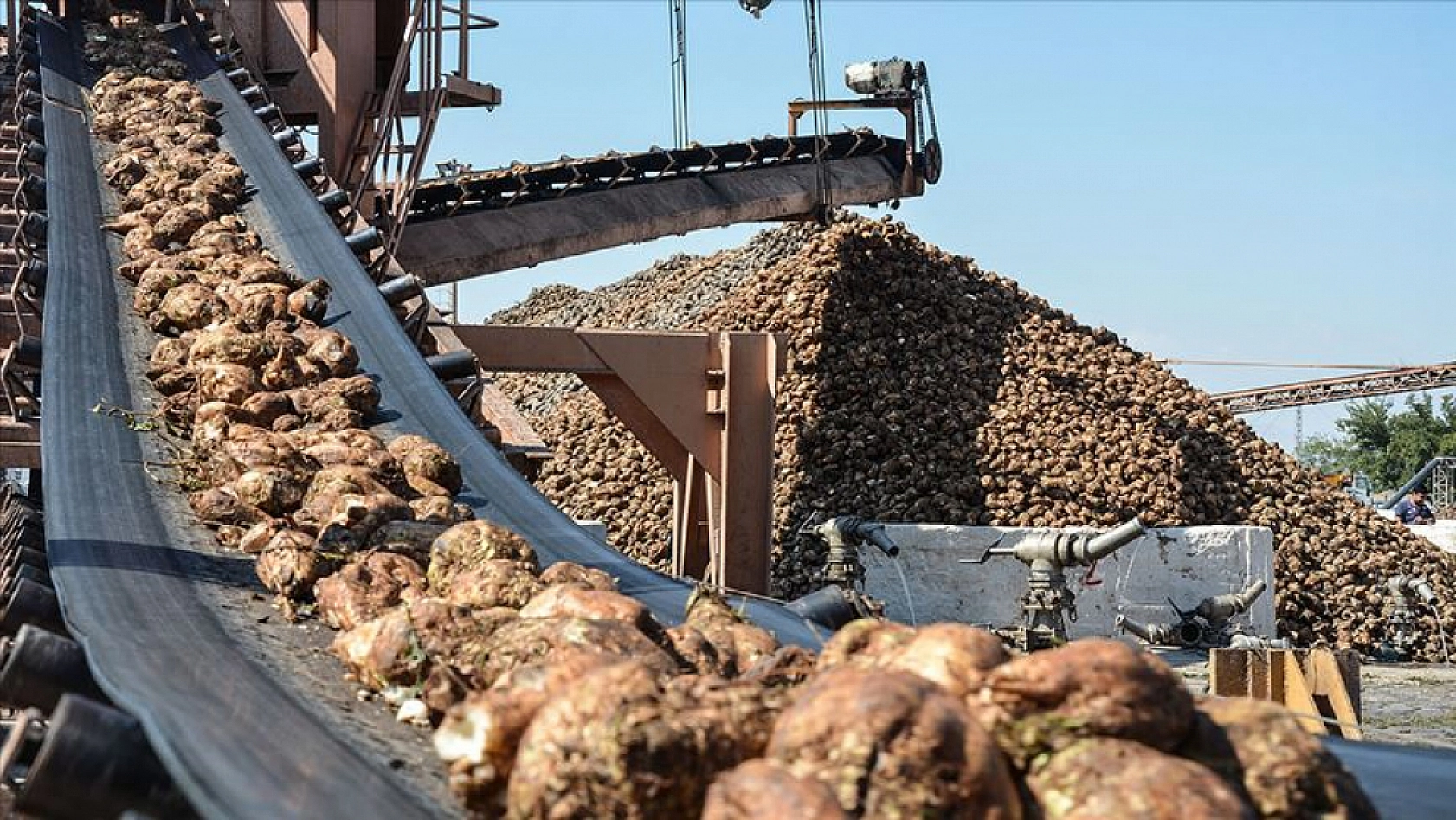 Malatya'da Pancar Alım Fiyatı Beklentiyi Karşıladı Mı? Üretici Ne Diyor?