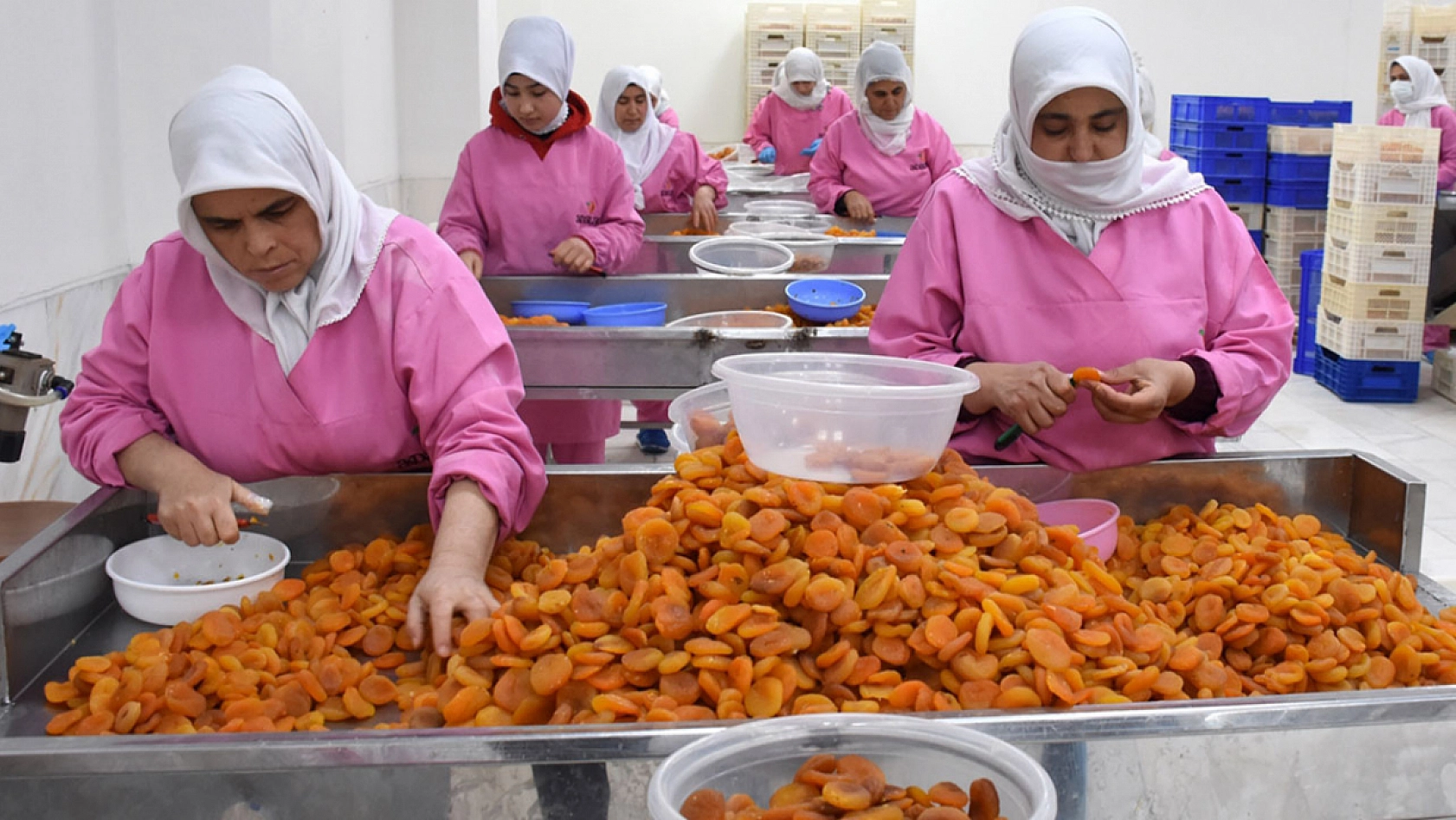 Malatya'ya Müjde! TMO Alım Yapacak! İşte Detaylar...