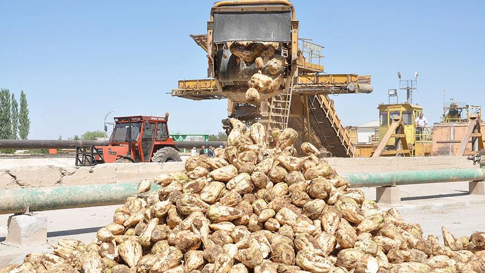 Malatya'da Pancar Alım Fiyatı Beklentiyi Karşıladı Mı? Üretici Ne Diyor?