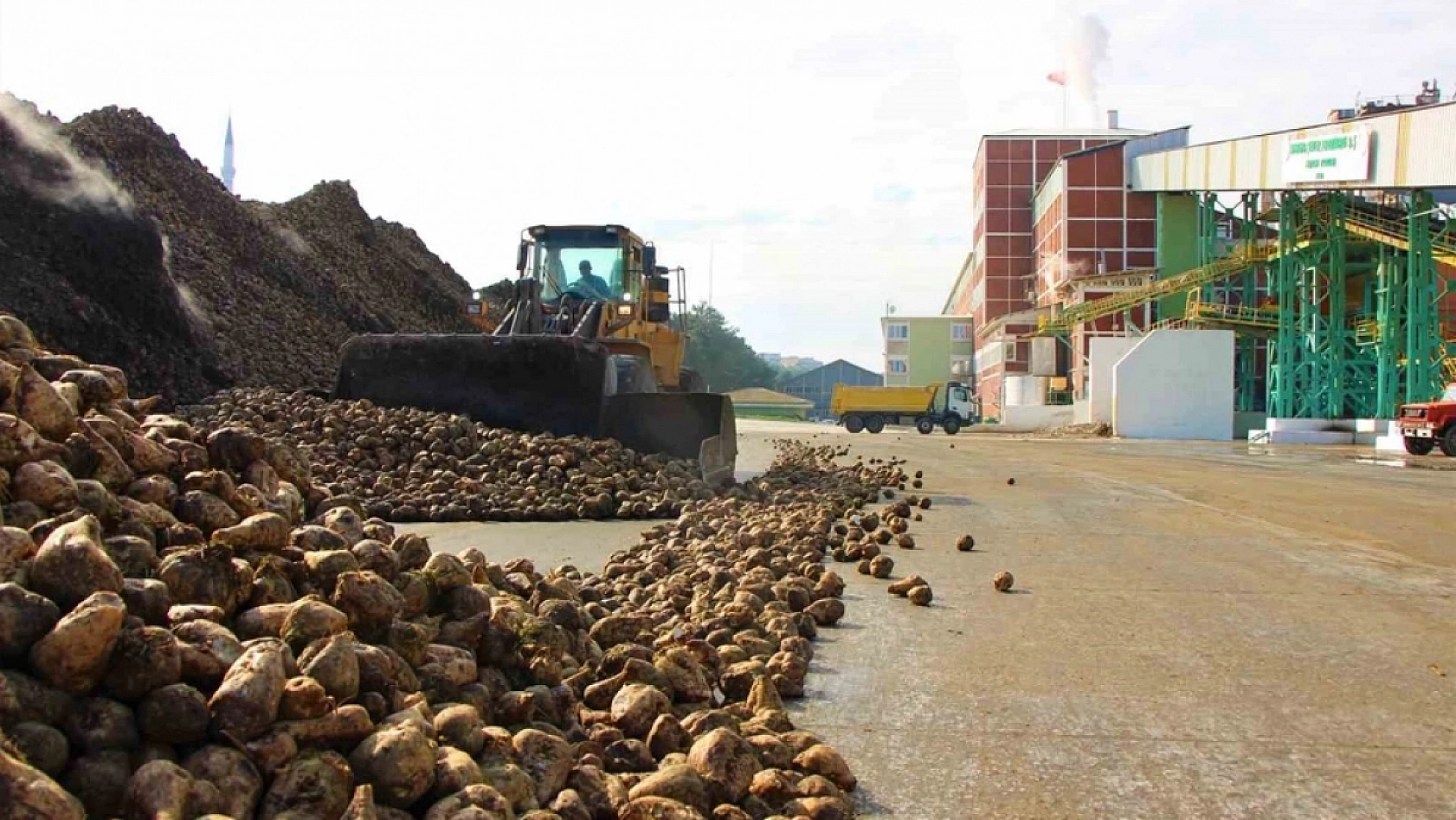 Malatya'da Pancar Alım Fiyatı Beklentiyi Karşıladı Mı? Üretici Ne Diyor?
