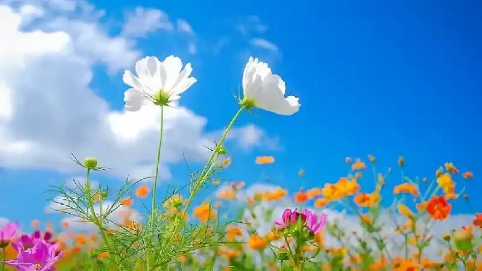 Meteoroloji açıkladı: 27 Haziran Cuma hava durumu raporu... Malatya'da bugün hava nasıl olacak?