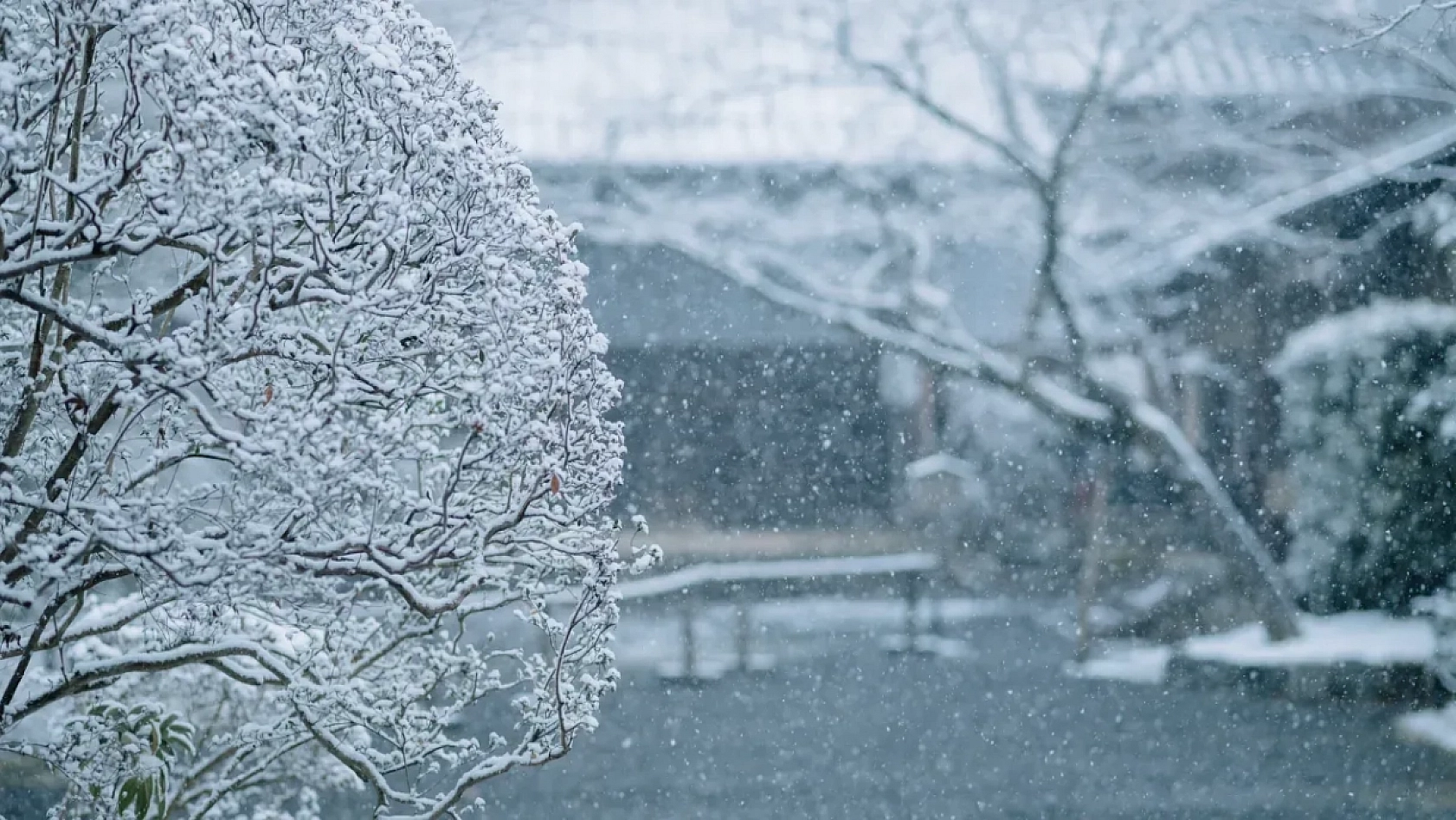 Meteoroloji Uyardı! Malatya'nın O İlçelerinde Karla Karışık Yağmur Bekleniyor...