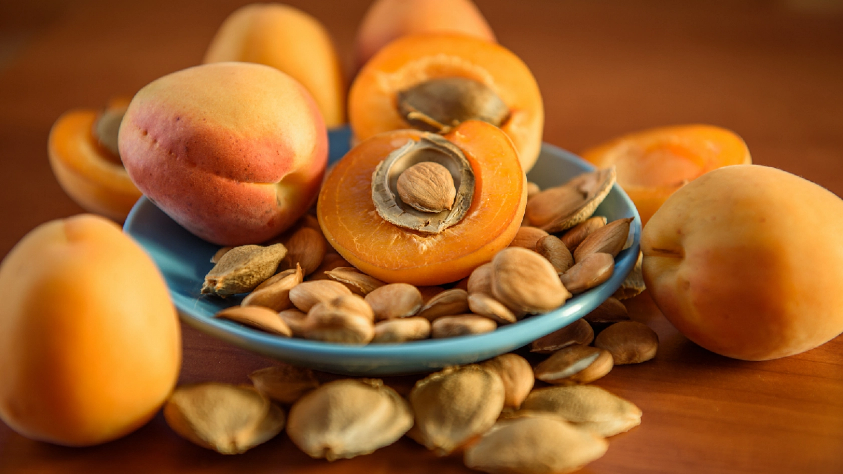 Erzincan'dan Malatya'ya Geliyor! Acı Tadıyla Gizli Gücüyle Şifa Dağıtıyor!