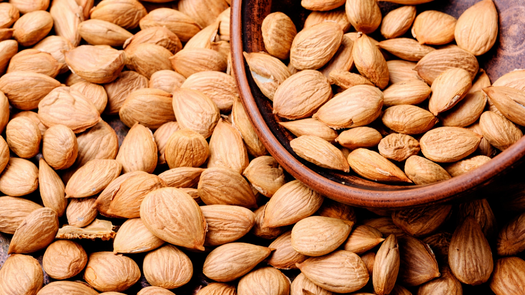 Erzincan'dan Malatya'ya Geliyor! Acı Tadıyla Gizli Gücüyle Şifa Dağıtıyor!