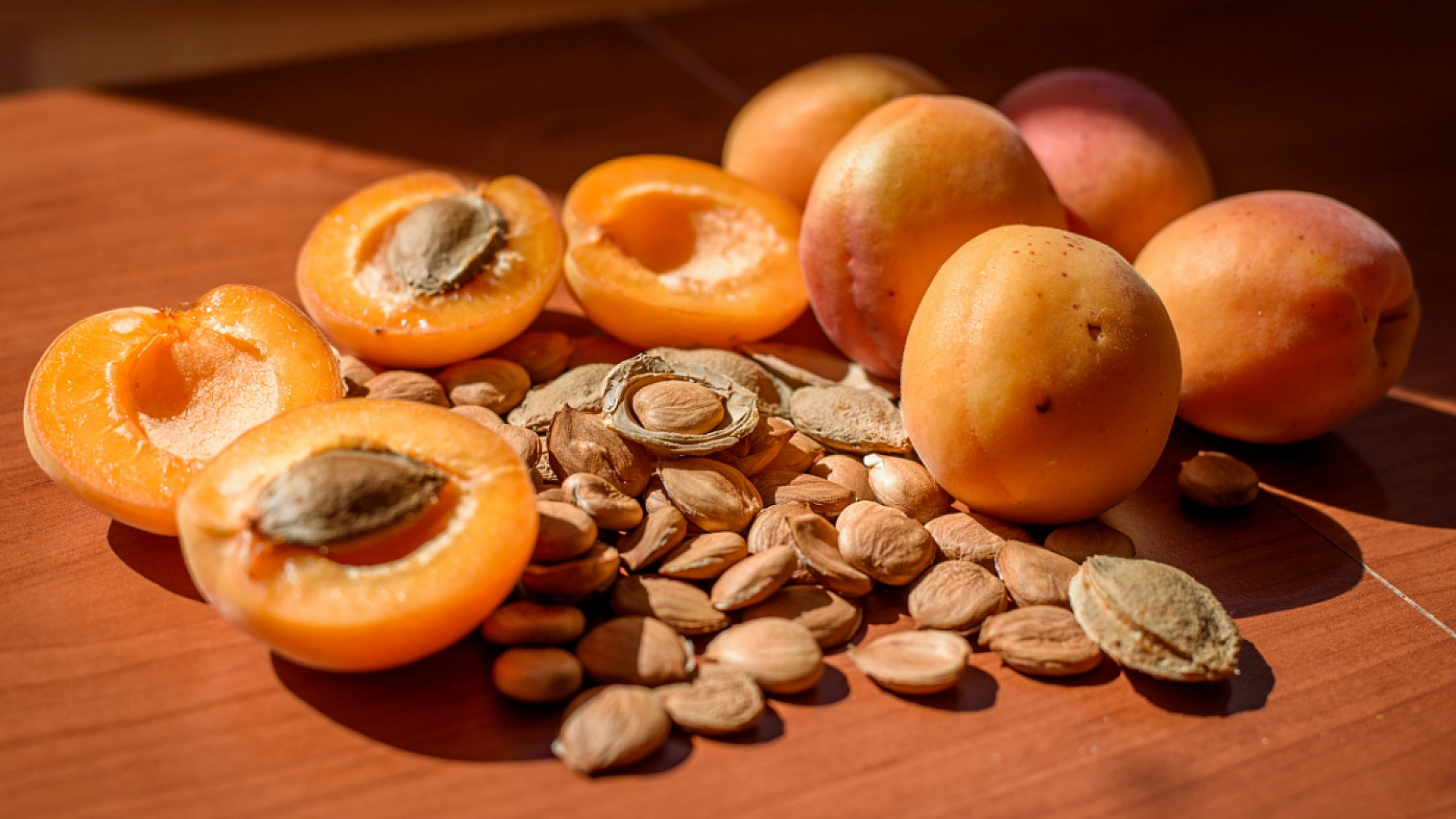 Erzincan'dan Malatya'ya Geliyor! Acı Tadıyla Gizli Gücüyle Şifa Dağıtıyor!