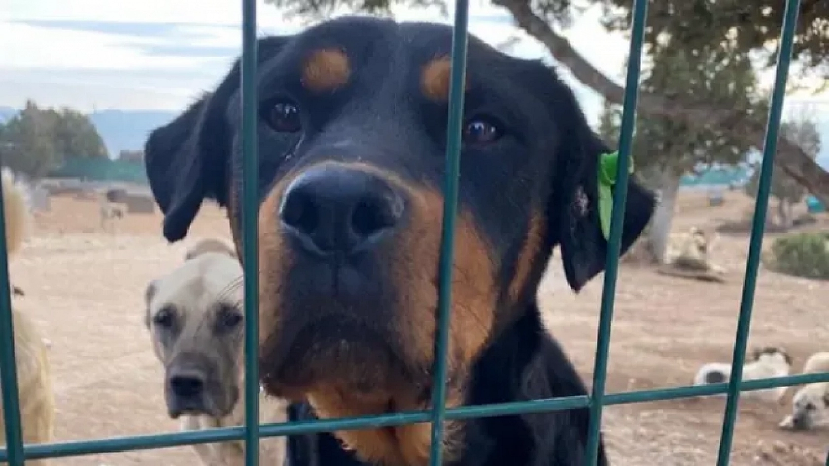 Malatya'da Bir İlk: Hastane Hizmete Girdi!