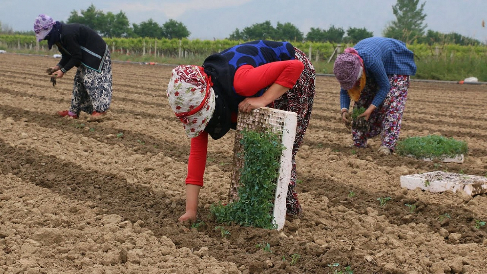 En Hızlı Büyüyen Meslekler Belli Oldu: Zirvedeki Meslek Şaşırttı!