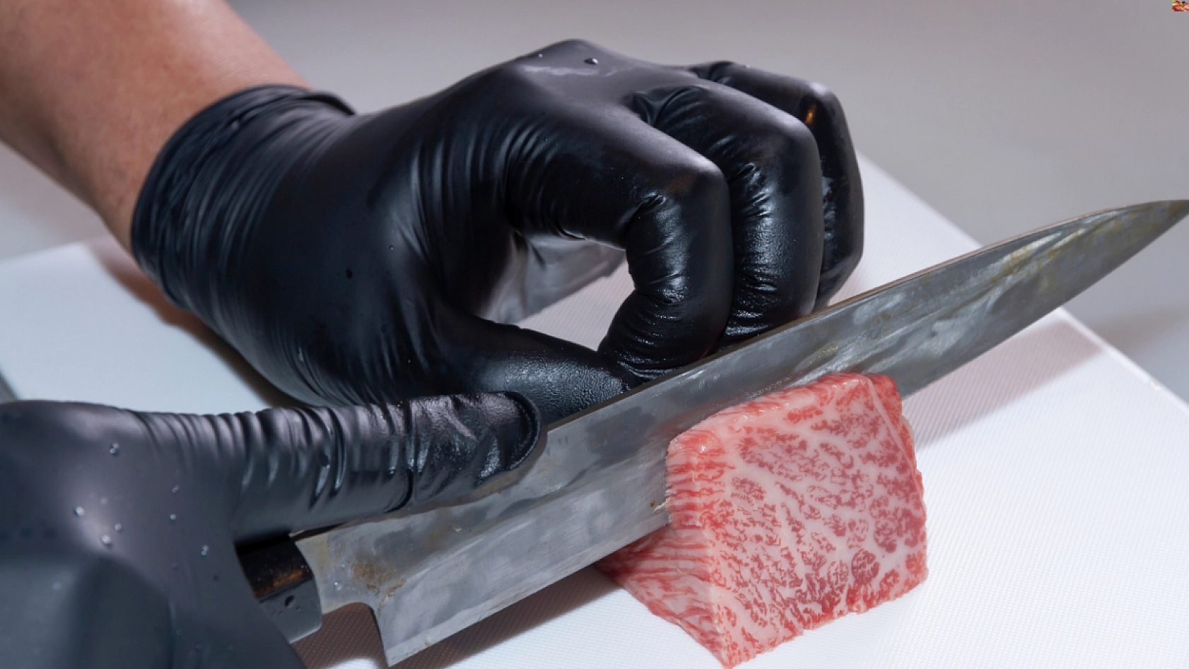 Malatya'da Besilik Sığır İthalatı İçin Kapılar Açılıyor!