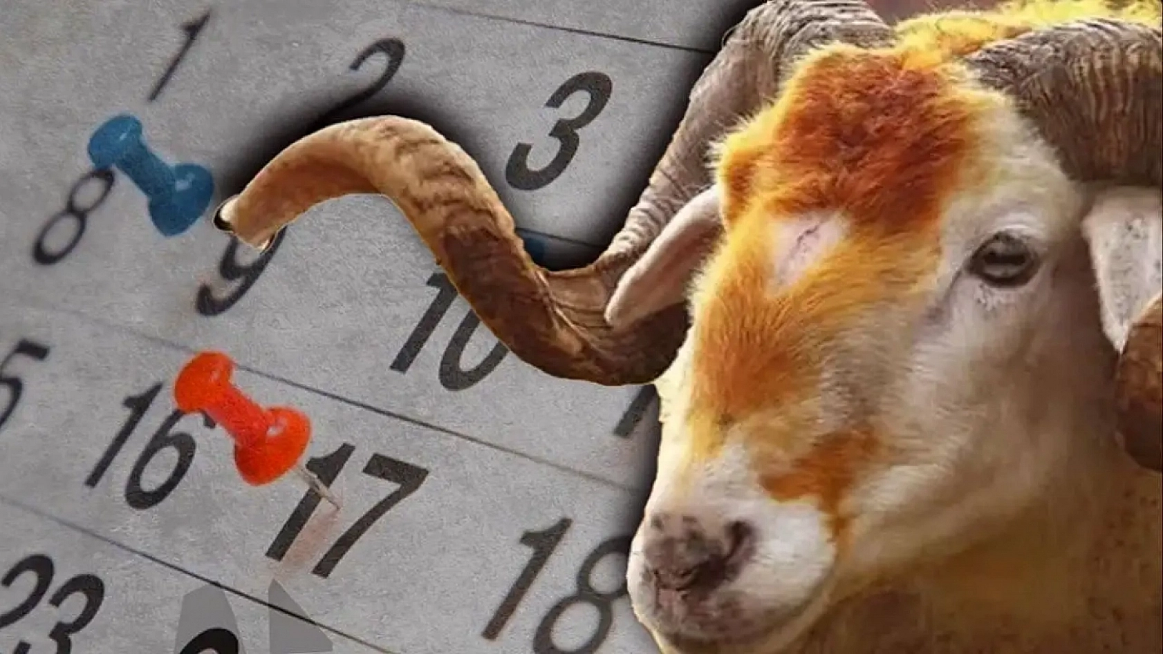 Kurban Bayramı tatili belli oldu