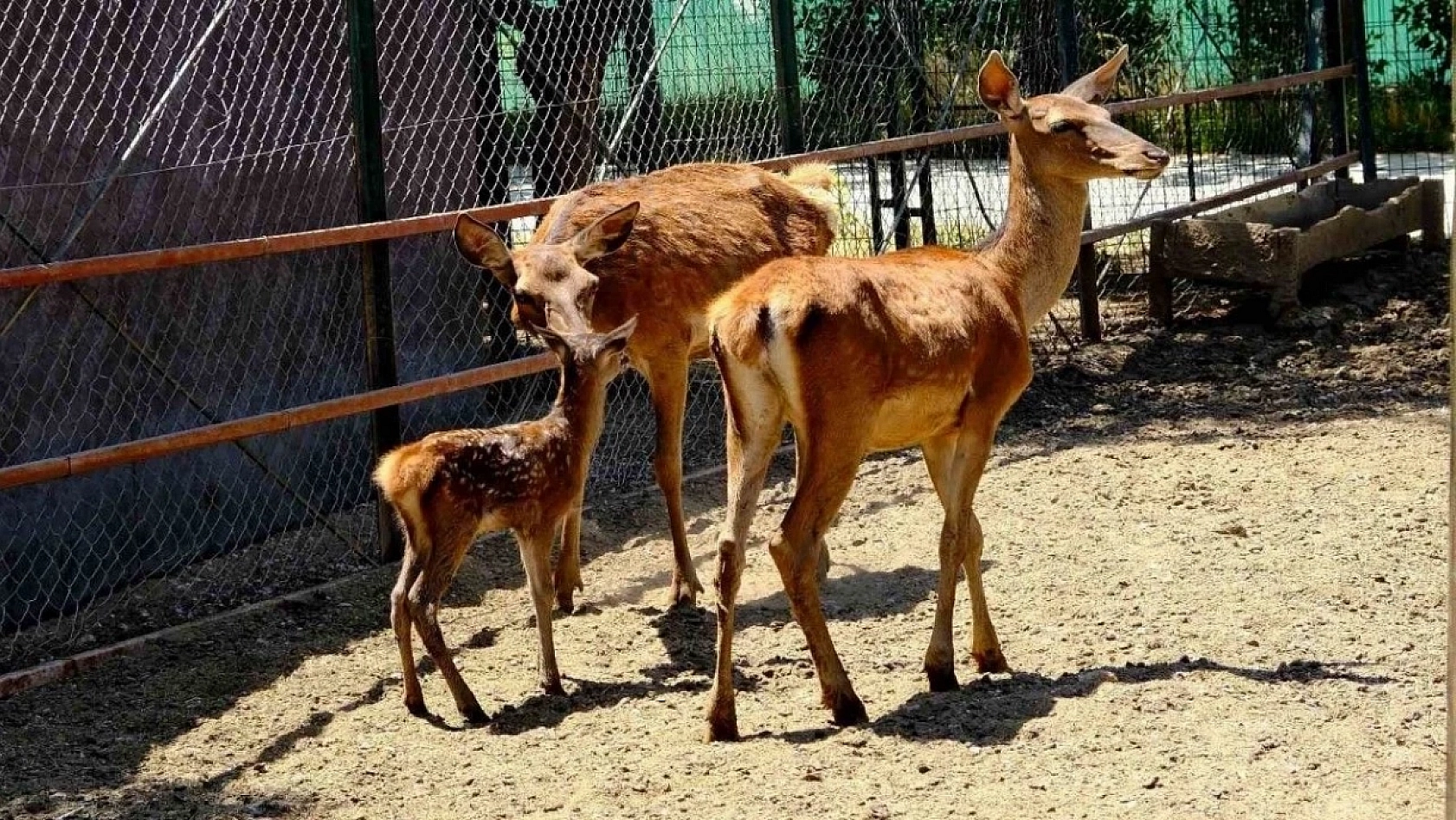 Güz Dönemi Ara Tatili Başlıyor: Peki Öğrenciler Malatya'da Nereleri Gezebilir?