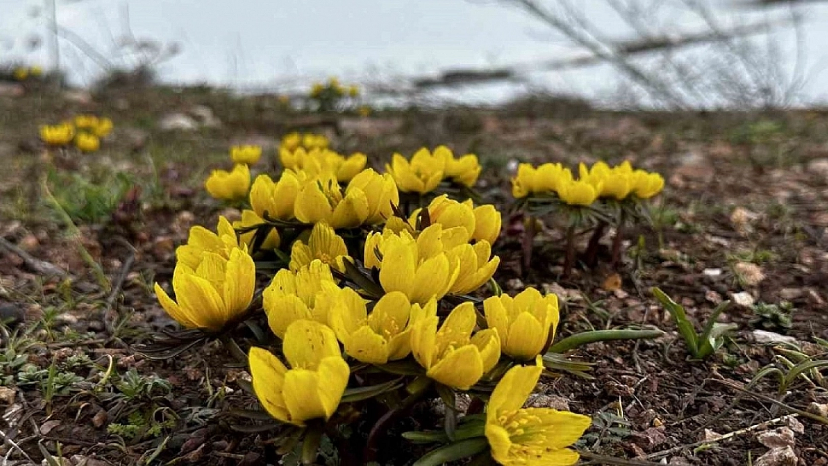Malatya'da hava sıcaklığı 24 dereceye kadar yükselecek!