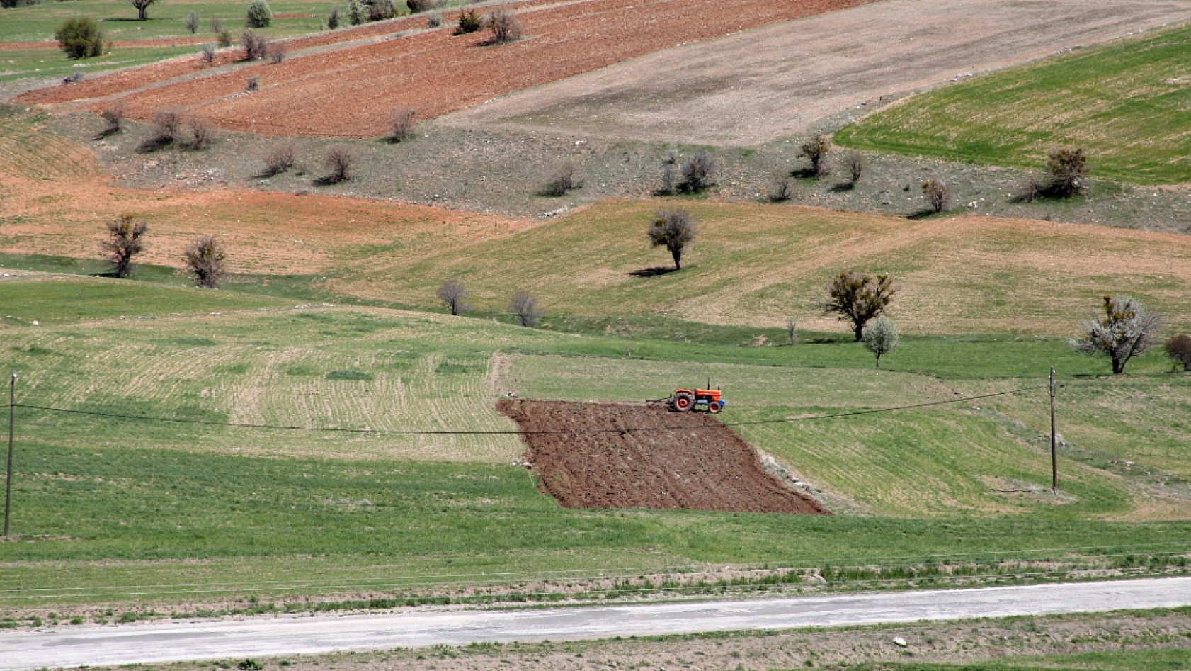 Malatya'da İşlenmeyen Tarlalar Üretime Açılıyor: 10 Soruda Cevapları!