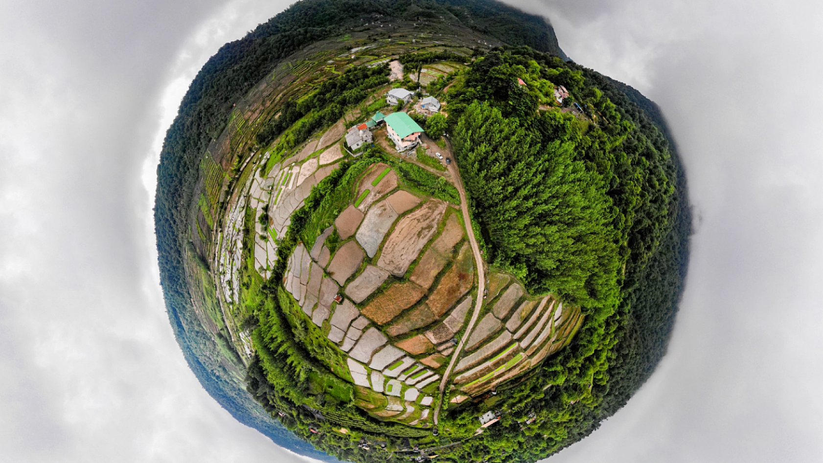Malatya'da İşlenmeyen Tarlalar Üretime Açılıyor: 10 Soruda Cevapları!