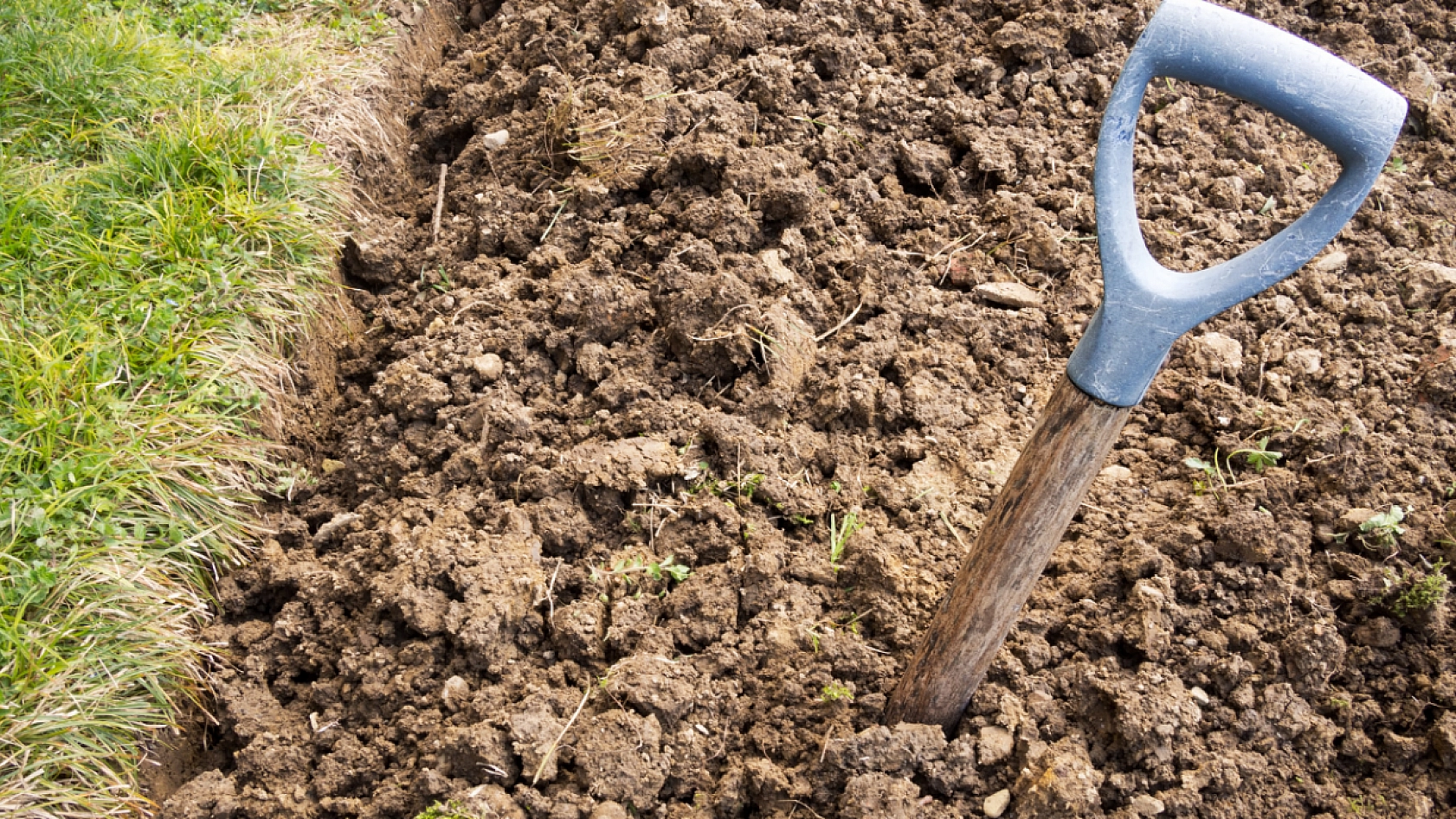 Malatya'da İşlenmeyen Tarlalar Üretime Açılıyor: 10 Soruda Cevapları!