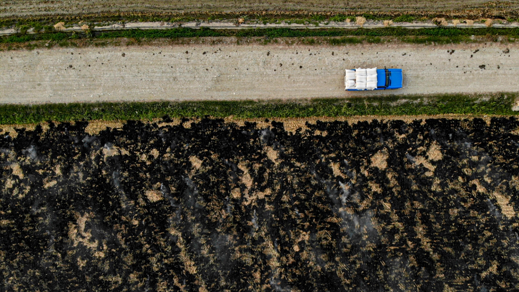 Malatya'da İşlenmeyen Tarlalar Üretime Açılıyor: 10 Soruda Cevapları!